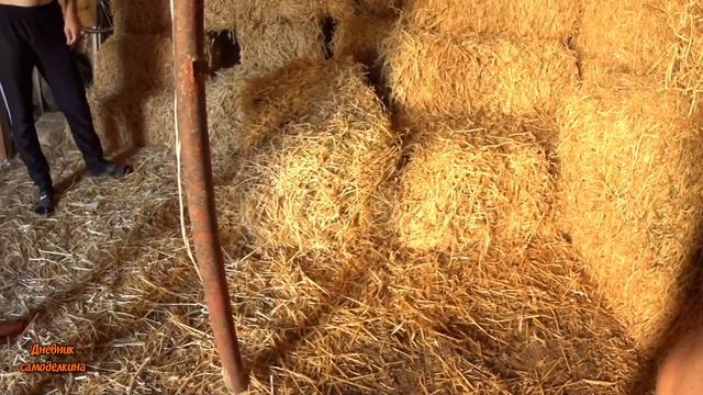 Что с кроликом? Корм для подворья! Сено... отруби... пшеница... смотреть онлайн