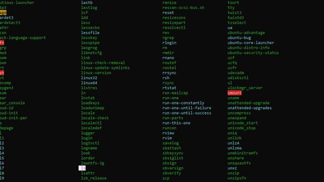 Командная строка для самых маленьких: основные команды