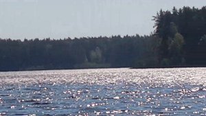 Тверская область Удомельский район 2021г