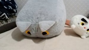 Танцующие котики