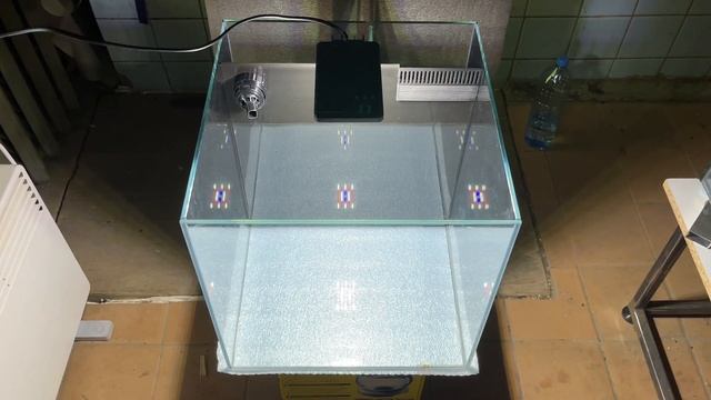 Обзор аквариума с задним сампом 40*40*40 для выставки МирЗоо смотреть онлайн