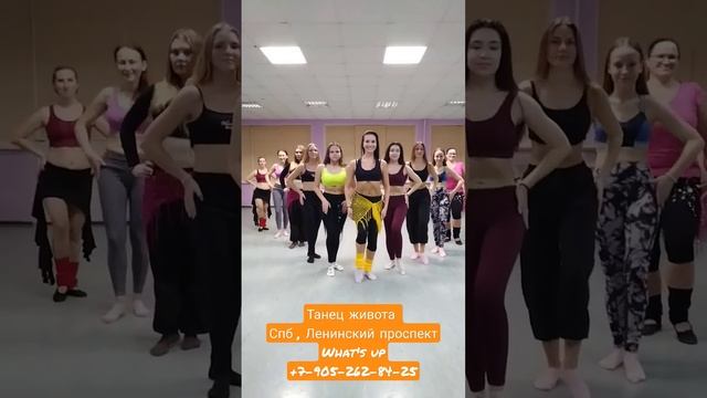 Bellydance/ танец живота в СПБ, Ленинский проспект. Профессиональная школа танца "Dance Queen"