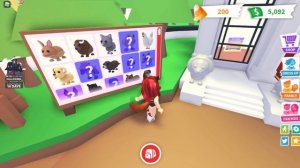 Бесплатный ФЛАЙ РАЙД ПЕТ в Adopt Me! Как собирать КОНФЕТЫ Адопт Ми Хэллоуин Обнова Роблокс