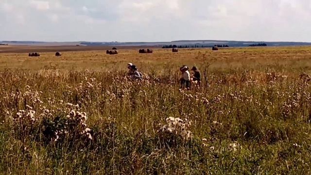 Удмуртский скороход 2019 смотреть онлайн