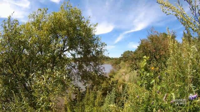 Река Раздольная, Южное Приморье, август 2020 г. смотреть онлайн