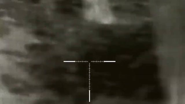 InfiRay Rico RH50 30-06 Spr смотреть онлайн