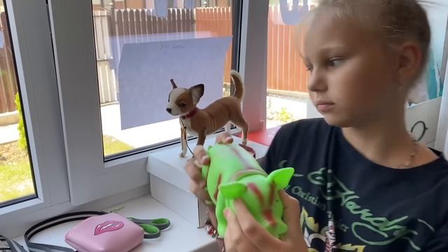 VLOG Алиса КУПИЛА СОБАЧКУ Чихуахуа ! Alice bought a little Chihuahua dog ! @AlisaMimiLissa