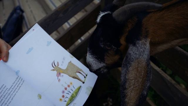 Новая книга для малышей от 1 года  "О Вове и Ляле" Прогулка на ферму