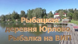 Рыбалка на ВИП..  Рыбацкая Деревня Юрлово