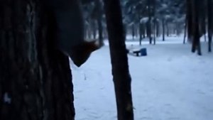Белочки щелкают орешки