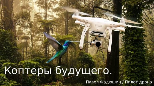 Будущее дроностроения.