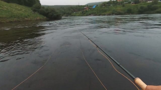 Ловля СЕМГИ в середине сезона, река КОЛА / Atlantic Salmon fly fishing mid-season of Kola river.