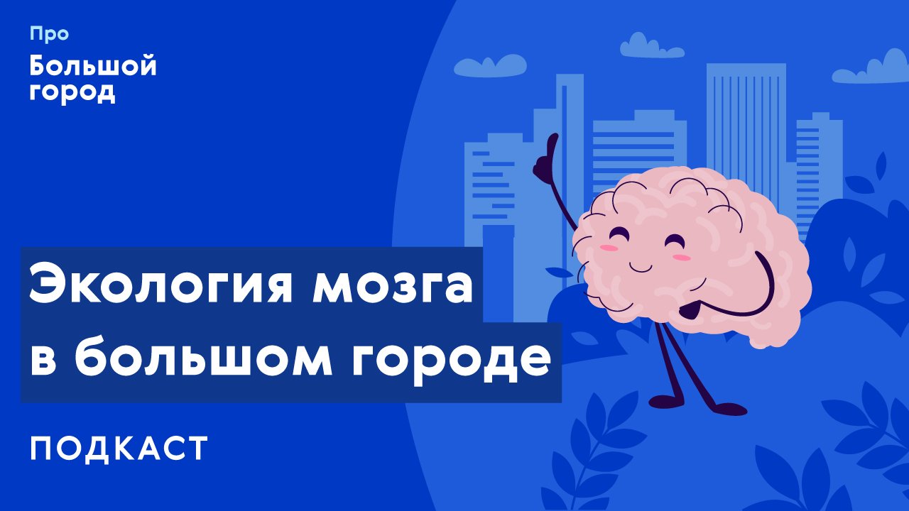 Экология мозга в большом городе | Подкаст «Про Большой город»