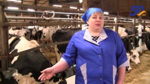 Серия видеороликов о профессиях, посвященных 50-летию СХАО «Белореченское» №15 М. Андреева