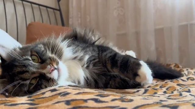 А ты что сегодня вечером будешь делать? 🙂 смотреть онлайн