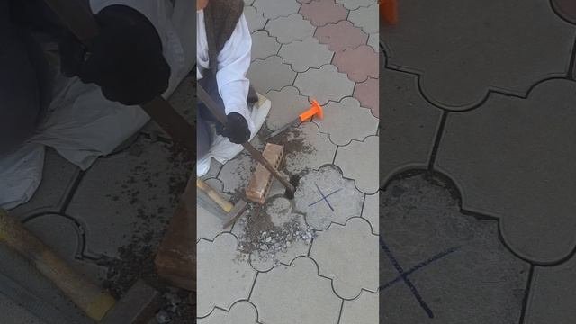 замена тротуарной плитки#тротуарнаяплитка #тротуарнаяплитка