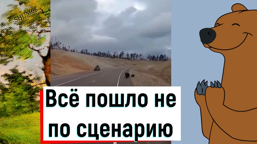 ✔ Всё пошло не по сценарию