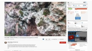 Сокрытое кладбище Петербурга.