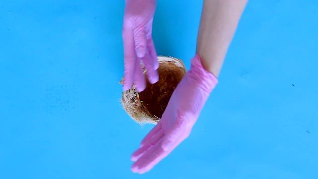 Мусс из мякоти молодого кокоса | Миндальный крамбл | Мякоть маракуйи | Зерна какао смотреть онлайн