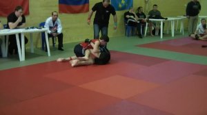 Любительское ММА (Союз Боевого Спорта), Amateur MMA (UCS)