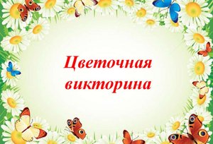 цветочная викторина.mp4