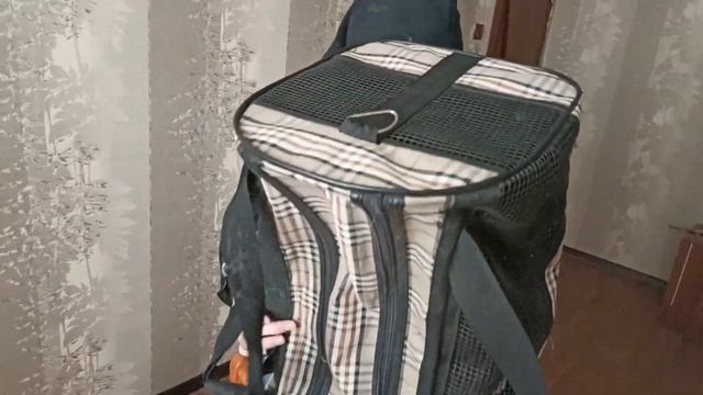 КАК ПРИГОТОВИТЬ ШАШЛЫК ИЗ БОНЕСА ВОРОНИНА смотреть онлайн