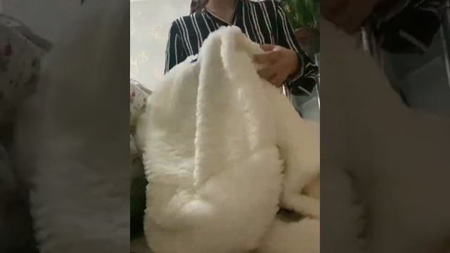 Как почистить мягкие игрушки в домашних условиях . Үй жағдайында жұмсақ ойыншықтарды тазалау. смотреть онлайн