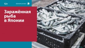 Россия может ограничить ввоз рыбной продукции из Японии — Москва FM