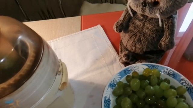 СОКОВЫЖИМАЛКА И СОК ИЗ ВИНОГРАДА ДЛЯ ПЛЮШЕВОГО КОТА БАСИКА смотреть онлайн