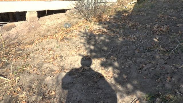 Что можно сделать с моим недостроенным домом на даче? смотреть онлайн