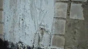 Устранение причины появления плесени.  Герметизация межпанельных швов