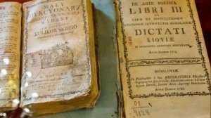 ПОЛНАЯ ИСТОРИЯ БЕЛАРУСИ ЗА 7 КЛАСС В ОДНОМ ВИДЕО | ВСЯ РЕЧЬ ПОСПОЛИТАЯ | ЦТ/ЦЭ