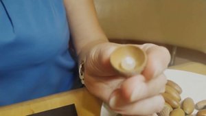 Мастер класс по созданию Топиария .