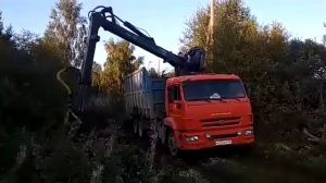 Вывоз веток и деревьев компанией «Самопогрузчик»