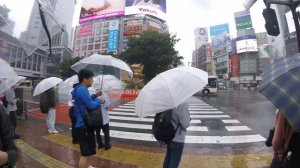 Памятник Хатико в Токио. Шибуйя.