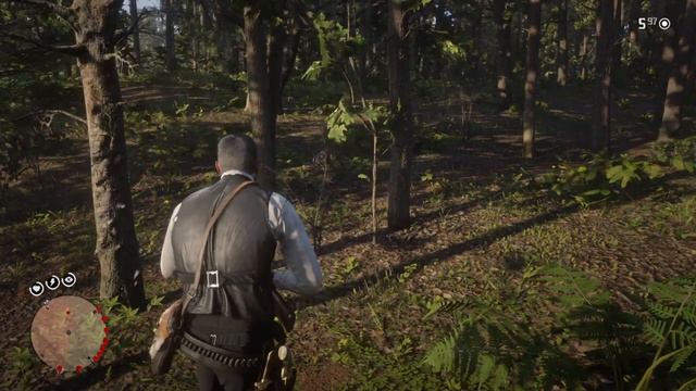 Red Dead Redemption 2 hunting panther смотреть онлайн