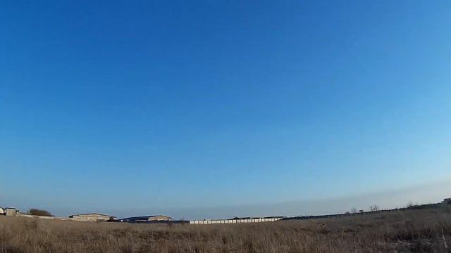 Épagneul Breton-"Jekky" 28.03.17г.Красивая работа по куропатке смотреть онлайн