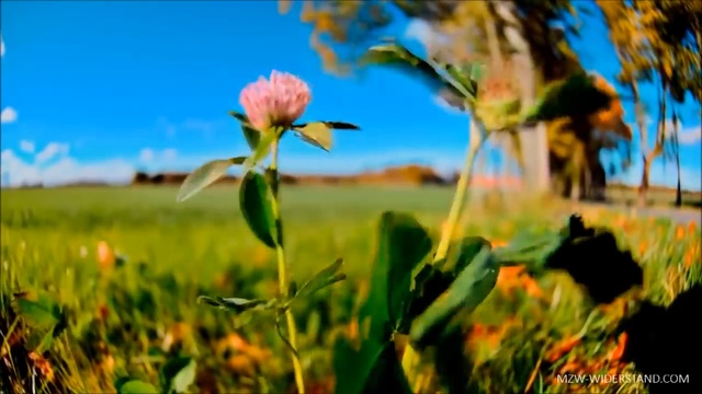 1930  Die Arbeitslosigkeit - A.H. 