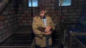 Как отличить самца от самки у нутрий в раннем возрасте. Нутрии.