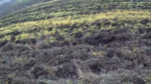 Охота на зайца 2021. ВОТ КАК НАДО СТРЕЛЯТЬ. ОТЛИЧНЫЙ ДЕНЬ В УГОДИЯХ