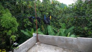 How To Wash Your Motorcycle Helmet & Gloves | Jamaican Bike Life 🇯🇲