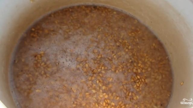 Брага на пророщенной пшенице