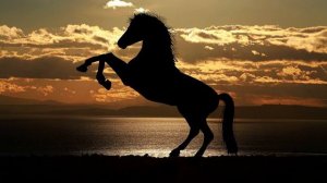 Carmen Bizet Toreador 🎵🐎 toreador song 🐴🎵