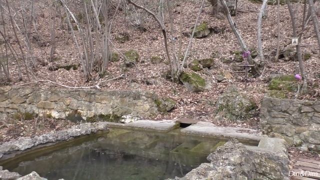 Источник святых Космы и Дамиана с купелью (Бахчисарайский район, село Высокое). 26 февраля 2023 г.