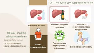 КАК восстановить ПЕЧЕНЬ?