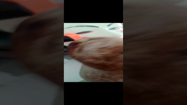 Капибара и хренобус зделали для вас челендж