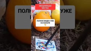 МОЩНЕЙШАЯ ЧИСТКА #онлайн #ритуал #светланаведа #shorts