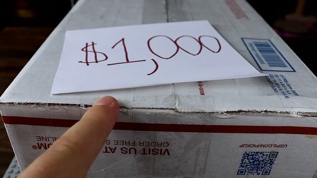 $10 VS $1,000 LEGO Mystery Box...