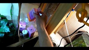 КРЕВЕТОЧНИК И ПОДАЧА СО2!!!