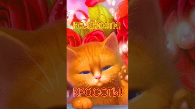 С днём рождения!!! Супер классная открытка!